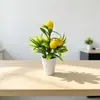 Simulação Transfronteiriça 5 Árvores Frutíferas Pequenos Bonsais Decoração de Casa Fruta da Prosperidade Planta em Vaso Sala de Estar Bancada Ornamento de Planta Verde