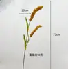 Espiga de grano de rama única de simulación que contiene Yang, espiga de mijo falso de jardín natural, espiga de trigo falso, decoración del hogar, decoración de casa de huéspedes, fotografía
