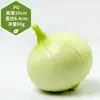 Juguete de Berenjena Grande Modelo de Fruta Vegetal Falsa Biónica Arreglo de Escena Adorno de Cocina Accesorio de Fotografía Vegetal de Imitación