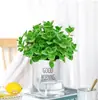 Planta en Maceta con un Toque de Fragancia, Planta Verde con Aroma Fuerte para Sala de Estar, Balcón, Repelente de Mosquitos, Repelente de Insectos, Suculenta con Aroma, con Tierra para Macetas