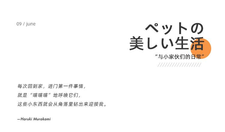 凹凸纹平口猫碗_02.jpg