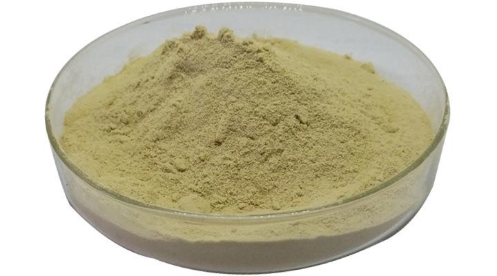 O1CN01lhnSSX1i40jXZvirE_!!2453