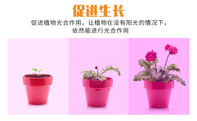 植物灯A款量子植物灯-（阿里巴巴）-详情_06.jpg