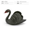 Simulación transfronteriza modelo de animal de corral pollo animal pollo niños cognitivo pato cabeza verde pato gris cisne blanco y negro gallo decoración juguete