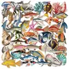 50 pegatinas transparentes de criaturas marinas tipo doodle, impermeables, material PET transparente, para scrapbooking, decoración y embellecimiento de guitarras, venta al por mayor para ventas transfronterizas
