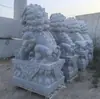 Leões de Pedra Azul, Guardiões do Templo, Leões Esculpidos em Pedra de Granito, um Par de Animais Colocado na Entrada, Feito Sob Medida pelo Fabricante