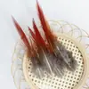Acessórios de Penas DIY Penas de Faisão Faisão Dourado Flechas Vermelhas Frango de Cobre Pontas Vermelhas Enfeites Roupas Brinquedo Gato Material
