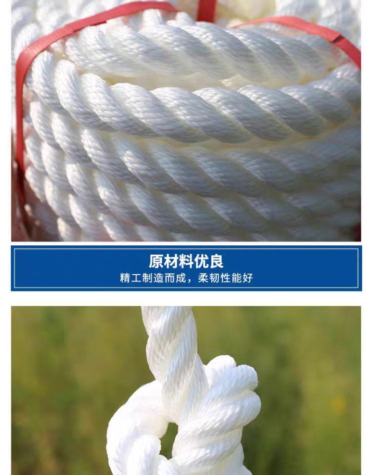 微信图片_202403010947531