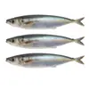 Luya Señuelo Blando de Caballa Impreso en 3D Caballa Blanda 15cm/33.5g Pez Simulado Caballa Blanda