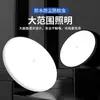 Luz Inteligente de Inducción Eléctrica Corporal para Pasillo, Vestíbulo, Entrada v Noche Luz de Techo Automática Escalera Escaleras Hierro