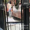 Pó Lítico: 311 Alta Brancura, Poder de Dispersão, Bom Poder de Descoloração, Atinge o Status de Pó de Dióxido de Titânio