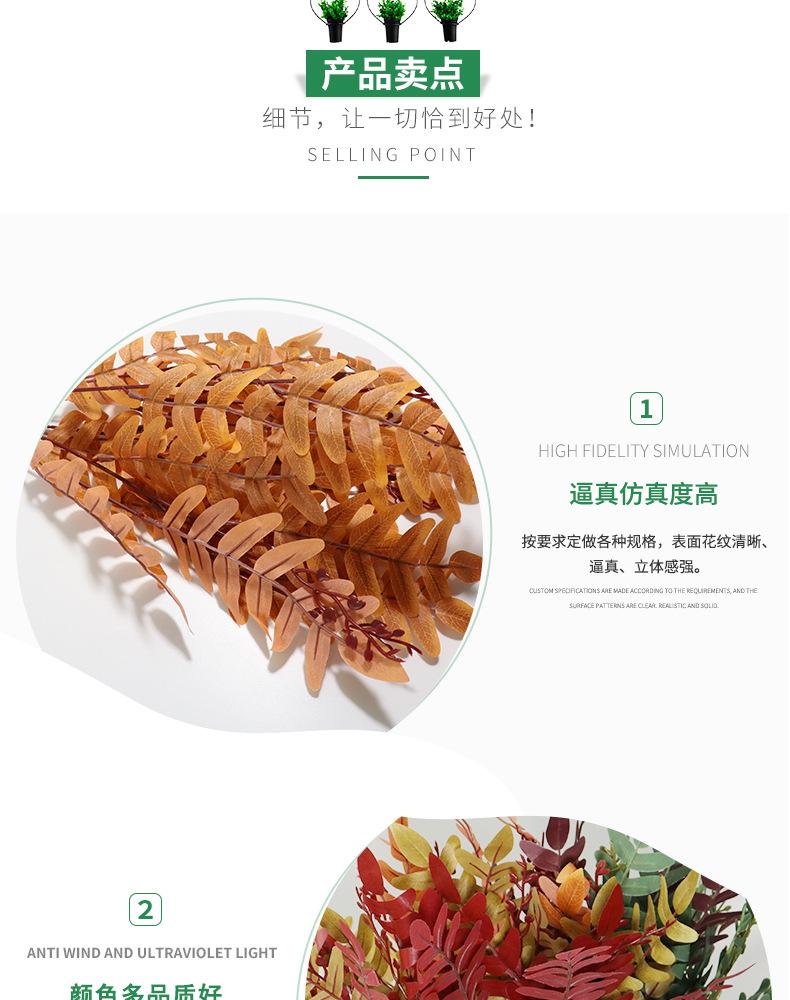 槐树叶把束_02.jpg