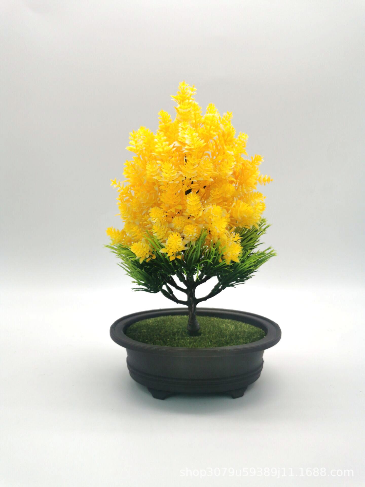 QQ图片20201123155141.png