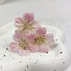 Artesanía de Simulación con Flor de Ciruelo Corazón Adorno de Cabeza Boda Pared de Flores Decoración de Coche de Boda Corona de Sombrero de Paja Accesorios para el Cabello Accesorios para Pasteles Pasador de Flor Flor