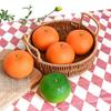 Simulación de espuma de cítricos de color naranja plano semiverde, frutas y verduras, decoración para ventanas, accesorios para poses, arte hecho a mano