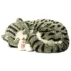 Perfect Petzzz (filhotes) Gato Cinza Tigrado