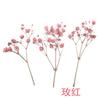 Gumsophila Gumsophila Flor Seca Goma Gota Long Branch Capa de Celular Embossed Material DIY Pulseira Joias Acessórios Artesanais