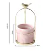 Vaso Pequeno Portátil Nórdico Ins Vasos Criativos de Ferro para Flores Secas Ornamentos de Vasos de Cerâmica com Laço para Suculentas