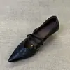 Zapatos de Salón Individuales Retro Franceses de Punta Fina con Tacón Grueso de Corte Bajo para Mujer 2026 Nuevos Versátiles para el Trabajo con Correa Única Mary Jane de Tacón Alto