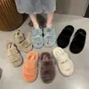 Pantuflas peludas de moda para mujer para otoño e invierno 2026 nuevo modelo, populares en línea moda pantuflas de algodón felpa con suela gruesa