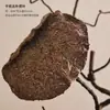 Vaso de cerâmica novo estilo chinês vintage desgastado, decoração wabi-sabi, ornamentos para hall de entrada e rack de TV, vaso de cerâmica hidropônico para arranjo de flores
