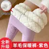 Pantalones Cálidos de Algodón de Lana de Cordero Noreste Más Terciopelo Más Gruesos A Prueba de Frío Ropa Interior Cintura Alta Leggings Extra Gruesos para Mujer Otoño e Invierno Venta al por Mayor