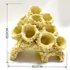 Anêmona, Coral, Tanque Esconderijo Anti-Fuga, Base de Suporte, Rocha Seca Java Kirago, Paisagismo com Bordas Afiadas