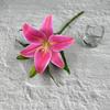 Ventas Directas de Fábrica de Flores Artificiales de Lirio 3D para Decoración del Hogar, Decoración de Hotel, Fotografía de Salón de Bodas y Venta al por Mayor de Flores Artificiales