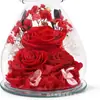 Suministro Transfronterizo de Flores Preservadas, Flores Preservadas Terminadas, Flores Preservadas en Cúpula de Cristal, Ramos de Rosas, Regalos de Navidad y San Valentín