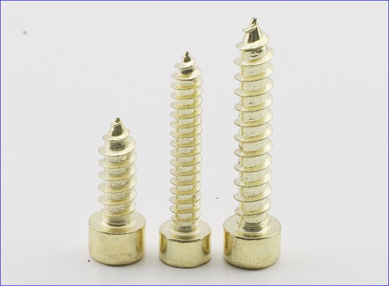 304不锈钢金色圆柱头内六角自攻螺丝 (5).JPG