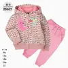 Comercio Exterior Ropa Infantil Primavera y Otoño Conjunto Infantil de Dos Piezas Material Sudadera Sudadera con Capucha Ropa Infantil para Bebés Ropa de Salida [Al por Mayor]