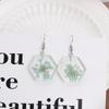 Corea del Sur Dongdaemun Nuevos Aretes Geométricos de Resina Acrílica Transparente de Flor Seca Temperamento Combinable Distintivos Aretes Colgantes