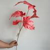 5 Folhas de Begônia Folhas de Chuva de Primavera Flores Artificiais de Casamento Fotografia Planta de Casa Decoração Floral Mori Vestido Suave Simulação Plantas Verdes
