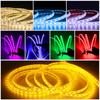 Tira de Luces LED Subacuáticas Personalizadas Iluminación Super Brillante Exterior Pecera Estanque para Peces Impermeable 24V Parche de Silicona Decorativo Subacuático