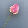 Flor artificial Guanyinlian sentir grande palmeira vermelha Home Móveis Floral casamento floral flor decorativa impressão 3D grande Flamingo falsa flor