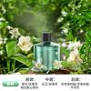 Máquina de aromaterapia inteligente para carro, novo ornamento de perfume para carro com IA, spray automático de aromaterapia, umidificador de carro de última geração