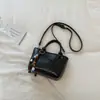 Elegante, minimalista y chic bolso pequeño casual de hombro, nueva colección principios de otoño 2026, bolso de mano de moda de color liso estilo coreano