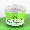 Frijol Cortado en Cubos Maceta Hierba para Gatos Planta Verde Semilla Ciega Guardería Niños Girasol Fresa Flor Semilla Plantada a Mano Regalo