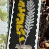 Flores reales flores prensadas tarjetas de felicitación de flores prensadas con tema de bosque, tarjetas de votos, tarjetas, regalos florales, marcapáginas, tarjetas de presentación, tarjetas de invitación y artículos decorativos