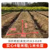 Nuevo tipo de túnel pequeño para plantas soporte para enrejado de frijol arco poste de arco poste de fibra de vidrio jardín de hortalizas agrícola soporte para plántulas venta al por mayor