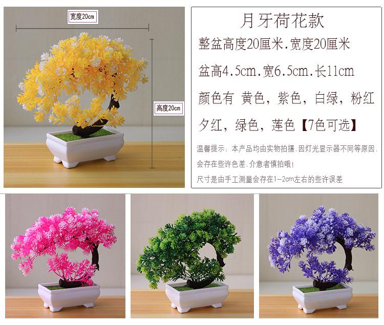 荷花款_01