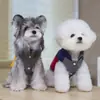 Ropa para Perros Mascotas Invierno Engrosada Ropa para Mascotas Teddy Modelo Nuevo con Accesorio para Correa Abrigo de Algodón Dinámico de Dos Patas de 26 Piezas