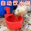 Bebedouro Automático para Galinhas, Patos e Gansos, Bebedouro para Pombos, Fonte Bebedouro, Bebedouro, Bebedouro Automático para Galinhas, Especial para Criação