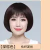 Peluca Cobertura de Cabeza Completa para Mujer Cabello Corto Cabello Real Cabello Humano Real Cubierta de Cabello Bobo Completa Natural para Mujer de Mediana Edad y Anciana Madre
