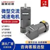 Motorreductor de engranajes de CA Micro Leohard 6W-750W Venta Directa de Fábrica Motor
