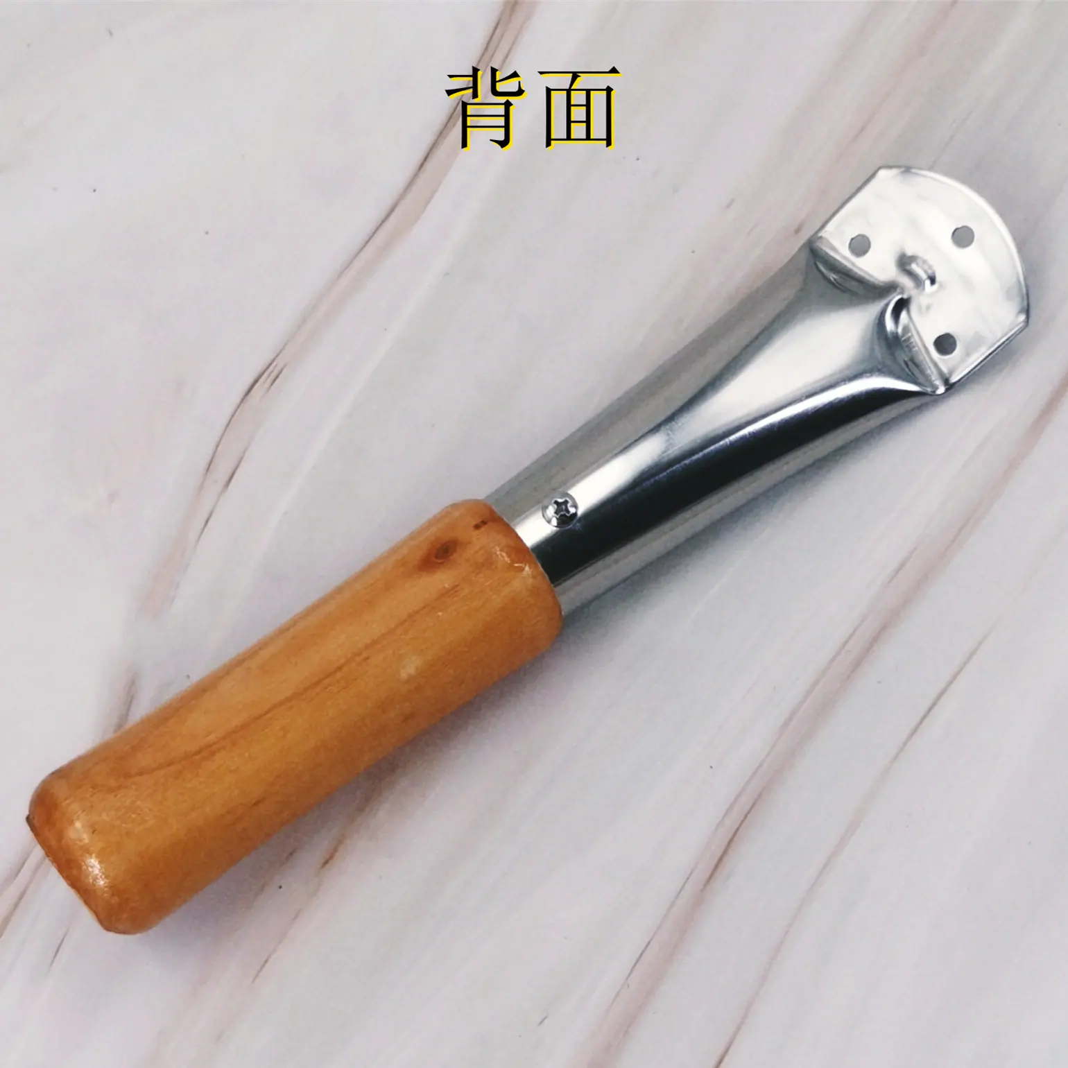 桉树1