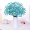 Directamente de Yunnan Nomeolvides Gypsophila Flores Reales Semisecas Secadas al Aire Naturalmente Flores Conservadas Regalo Adorno para Sala de Estar Mesa de Comedor