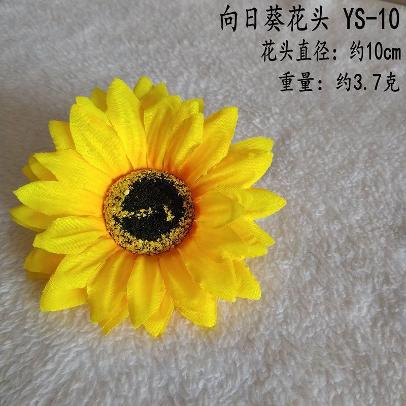 YS-10_副本