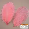 Cor avestruz pena roupas acessórios decoração de casamento materiais DIY feitos à mão acessórios de penas decoração para casa