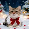 Coleira de Ano Novo Transfronteiriça para Gatinhos e Cachorros, Gravata Borboleta de Natal, Babador de Pelúcia